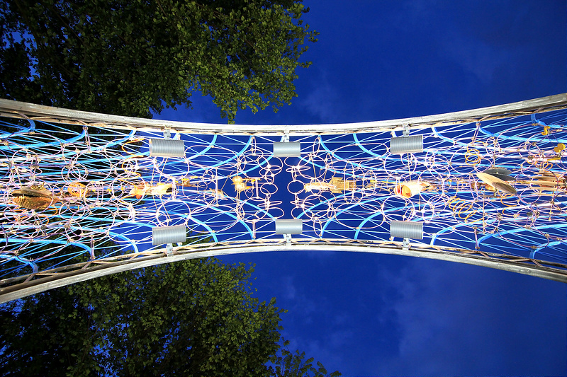 7645011562_ddb4f78b68_c