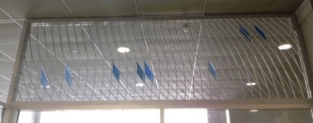 Screen Shot 2018-07-19 at 9.17.06 AM