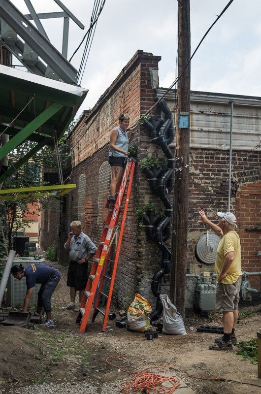 'Vertical Landscapes' 02 - Buster Simpson